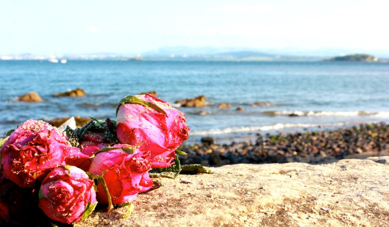 Roses in Aberdour